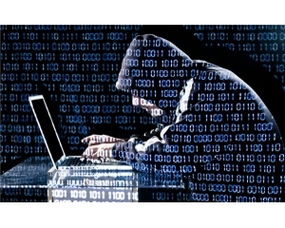 杰克網絡技術門戶 引領中國互聯網技術發展的專業平臺